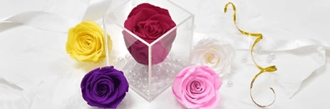 Rakhi Hamper